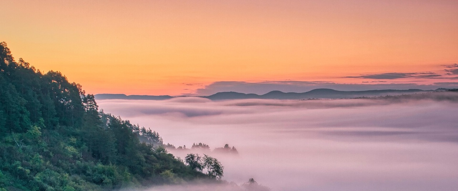 Discover Top Vineyards in Oregon and Convenient Food Shipping