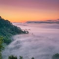 Discover Top Vineyards in Oregon and Convenient Food Shipping