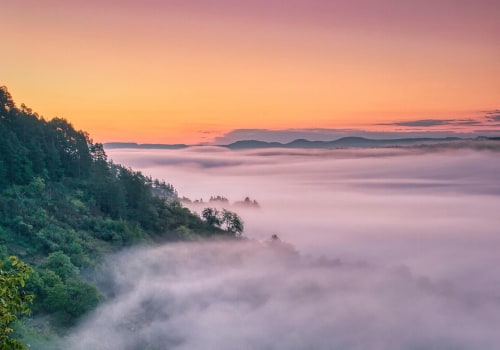 Discover Top Vineyards in Oregon and Convenient Food Shipping